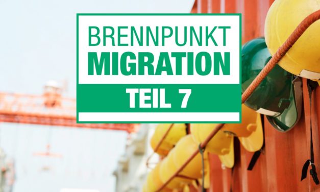 Brennpunkt Migration Teil 7: Migration und Beschäftigung.